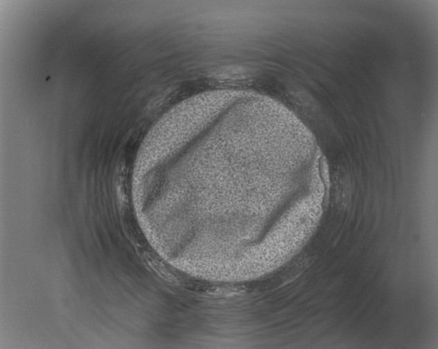 X0000080681346200701121648