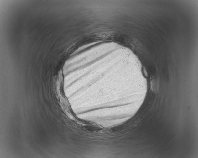 X0000080681347200701121648