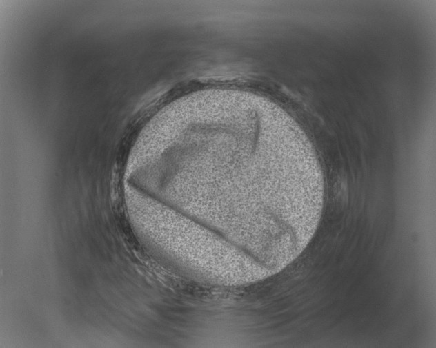 X0000080681350200701121648