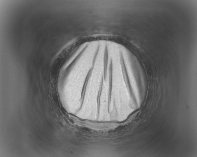 X0000080681351200701121648