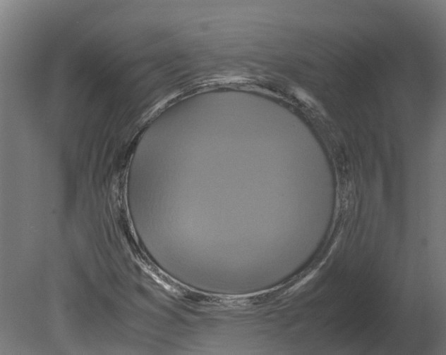 X0000080681353200701121648