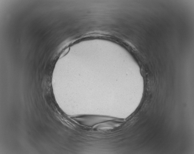 X0000080681355200701121648