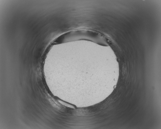 X0000080681356200701121648