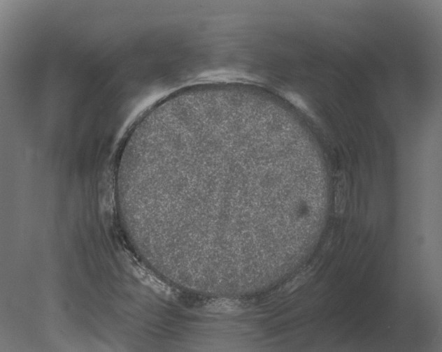 X0000080681358200701121648