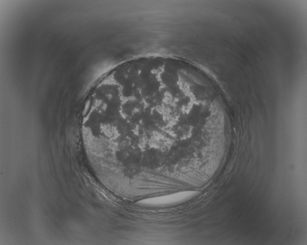 X0000080681359200701121648