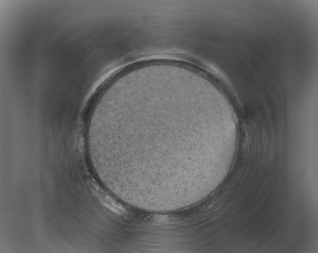 X0000080681360200701121648