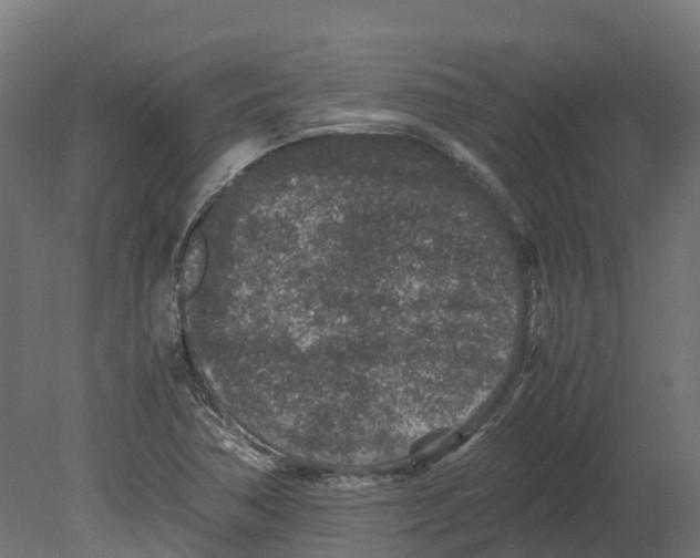 X0000080681362200701121648