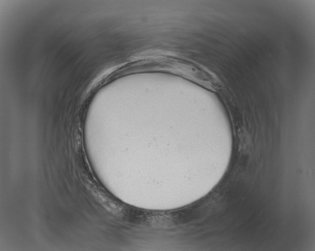 X0000080681363200701121648