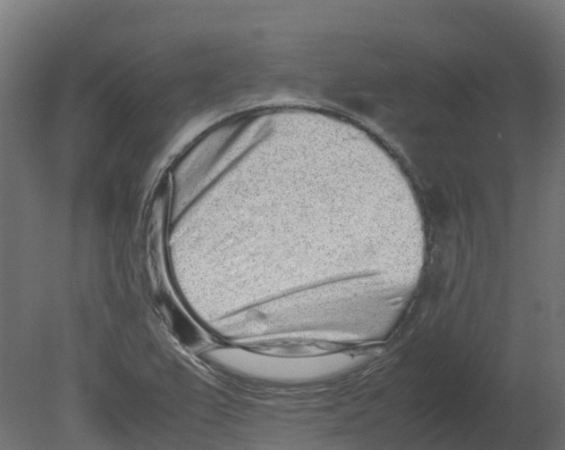 X0000080681367200701121648