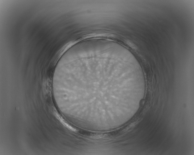 X0000080681369200701121648