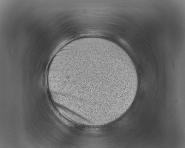 X0000080681370200701121647