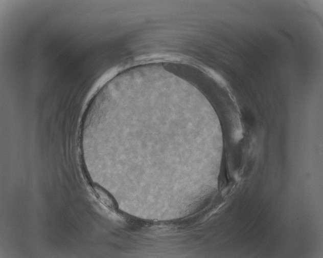 X0000080681373200701121647