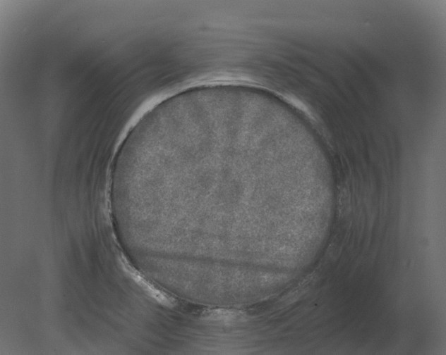 X0000080681374200701121647