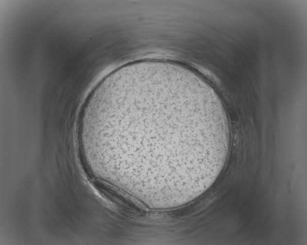 X0000080681375200701121647