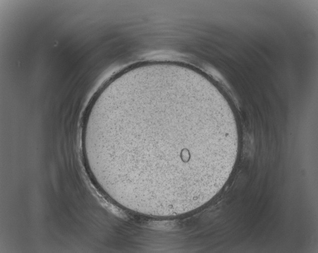 X0000080681376200701121647