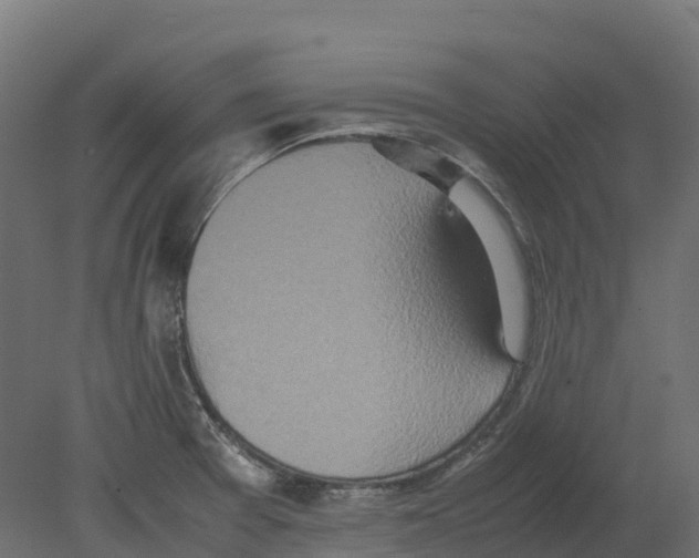 X0000080681377200701121647