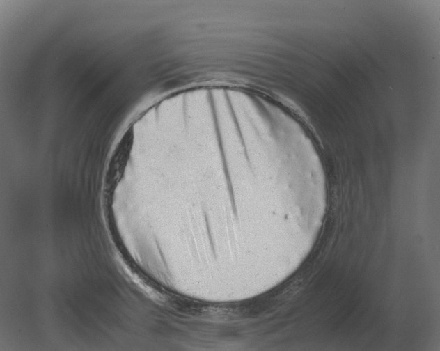 X0000080681379200701121647