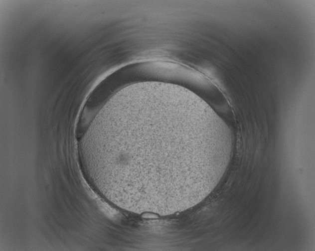 X0000080681380200701121647