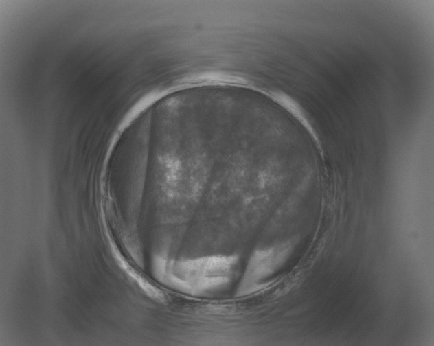 X0000080681381200701121647