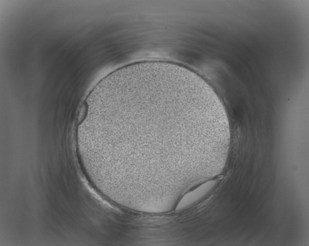 X0000080681382200701121647