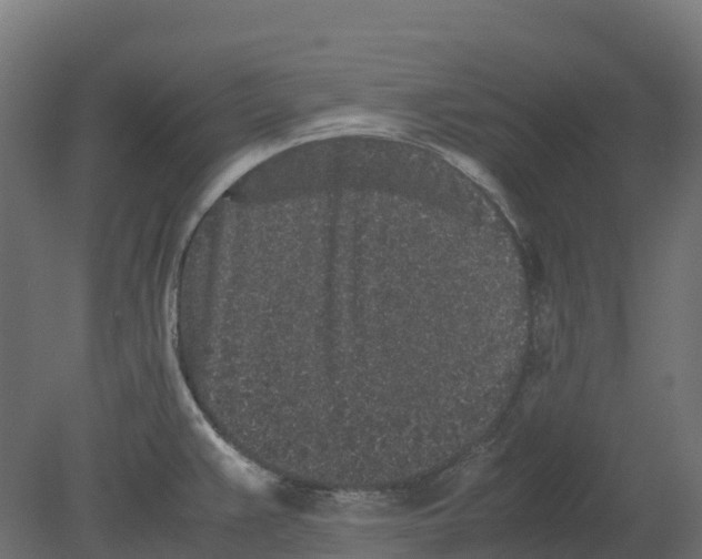 X0000080681383200701121647