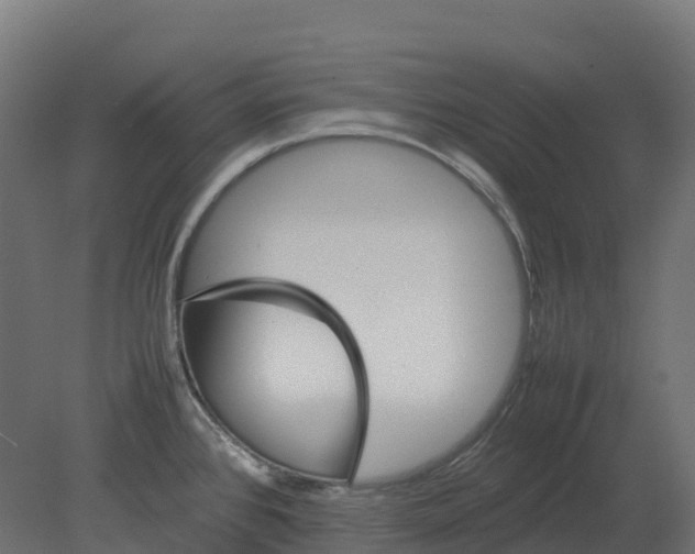 X0000080681384200701121647