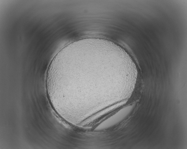 X0000080681386200701121647