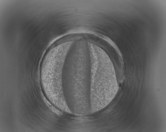 X0000080681388200701121647