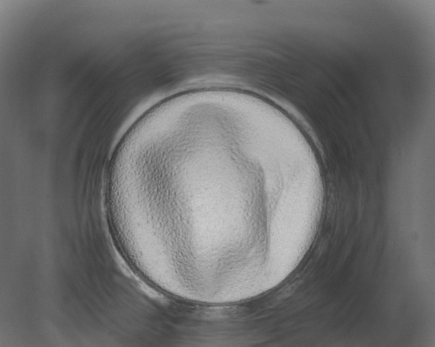 X0000080681390200701121647