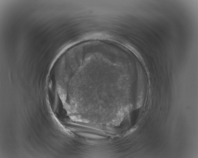 X0000080681392200701121647