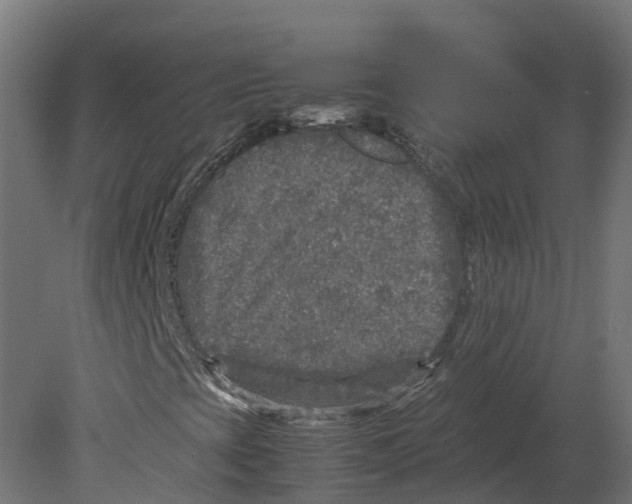 X0000080681393200701121646