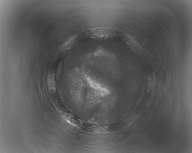 X0000080681394200701121646