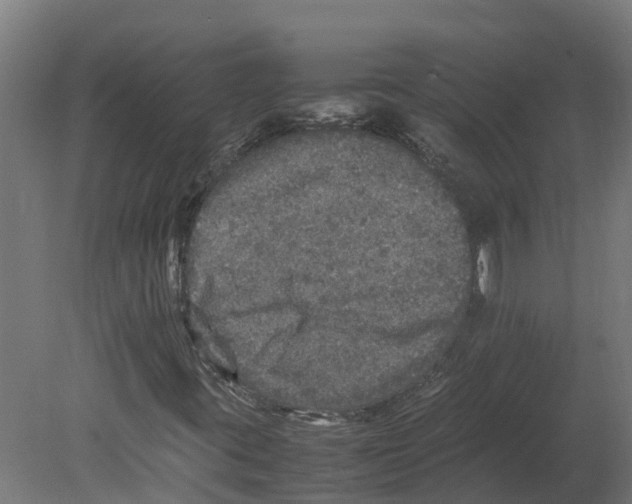 X0000080681395200701121646