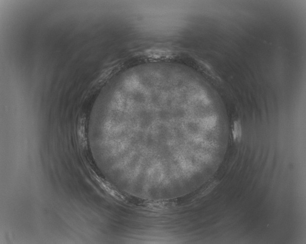 X0000080681396200701121646