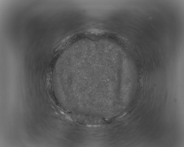 X0000080681397200701121646