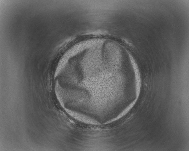 X0000080681398200701121646