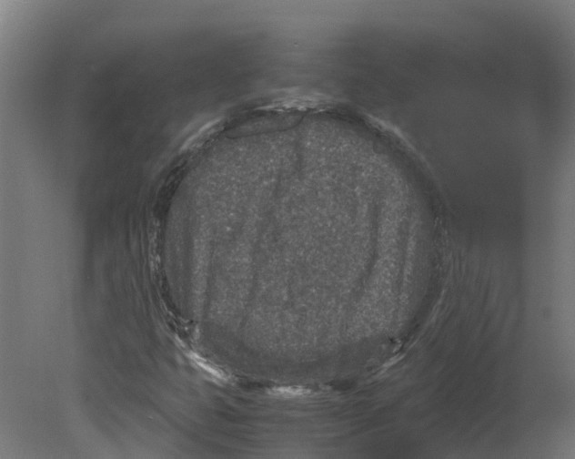 X0000080681399200701121646