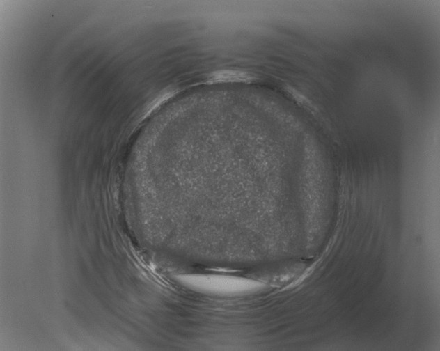 X0000080681401200701121646