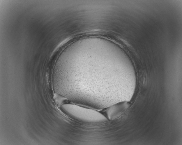 X0000080681402200701121646