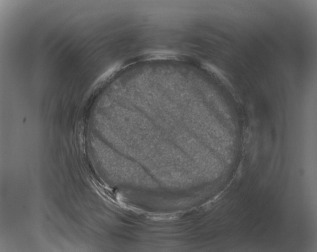 X0000080681403200701121646