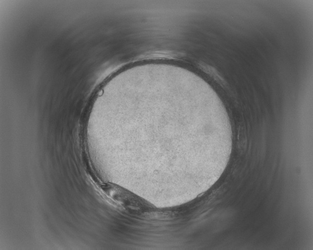 X0000080681404200701121646