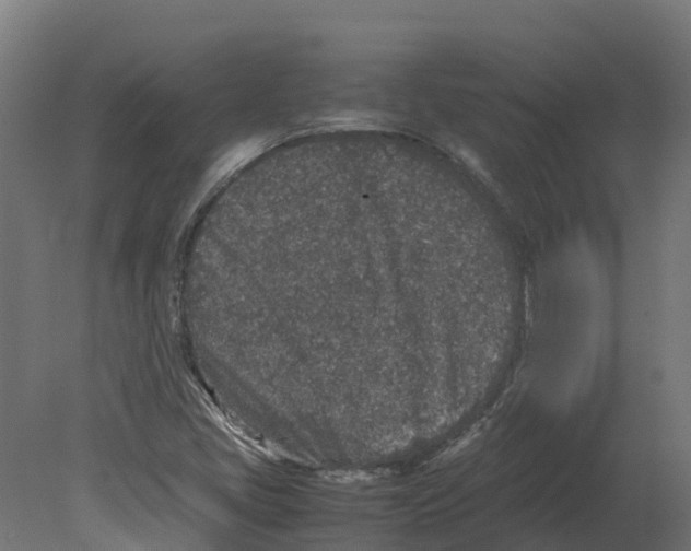 X0000080681405200701121647