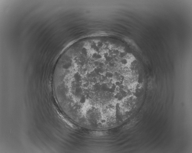 X0000080681409200701121647