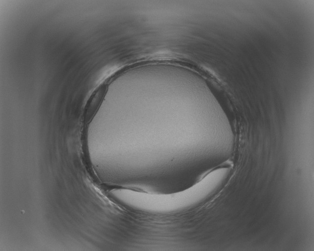 X0000080681410200701121647