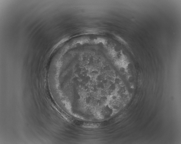 X0000080681411200701121647