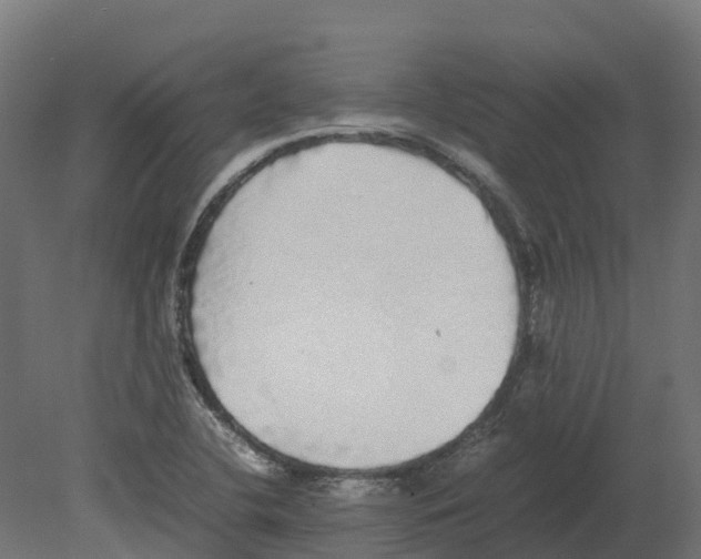 X0000080681412200701121647