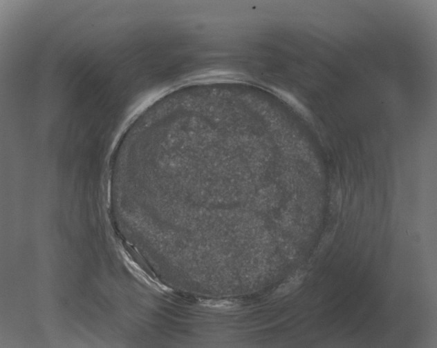 X0000080681413200701121647