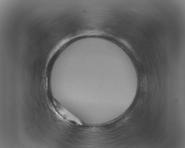 X0000080681414200701121647