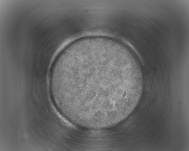 X0000080681416200701121647