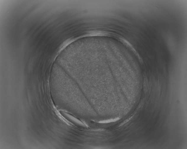 X0000080681417200701121647